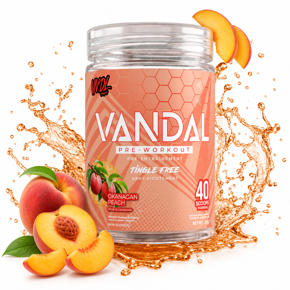 VANDAL Pre-Workout, tingle free, full-dose pre-workout
