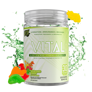 VITAL - SMARTER RECOVERY