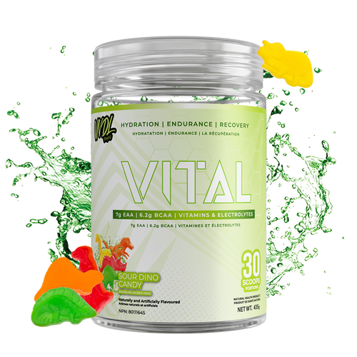 VITAL - SMARTER RECOVERY